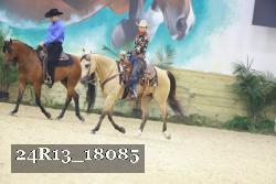 24R13_18085 thumbnail