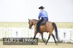 24R13_18099 thumbnail