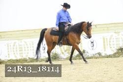 24R13_18114 thumbnail