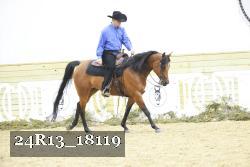24R13_18119 thumbnail
