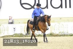 24R13_18120 thumbnail