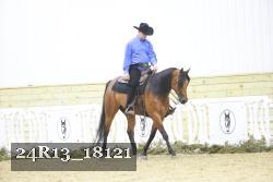24R13_18121 thumbnail