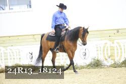24R13_18124 thumbnail