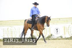 24R13_18125 thumbnail