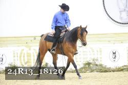 24R13_18126 thumbnail