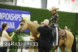 24R13_18133 thumbnail