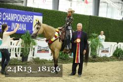 24R13_18136 thumbnail