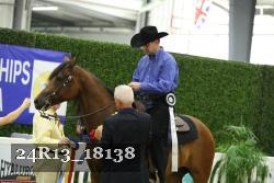 24R13_18138 thumbnail