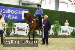 24R13_18140 thumbnail