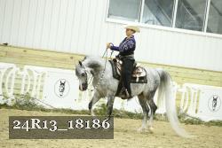 24R13_18186 thumbnail