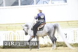 24R13_18191 thumbnail