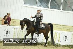 24R13_18192 thumbnail