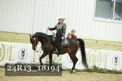 24R13_18194 thumbnail
