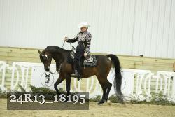 24R13_18195 thumbnail