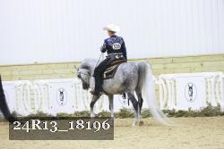 24R13_18196 thumbnail