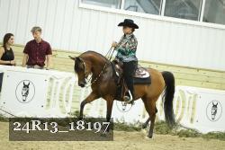 24R13_18197 thumbnail