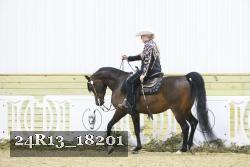 24R13_18201 thumbnail