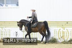 24R13_18202 thumbnail