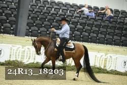 24R13_18203 thumbnail