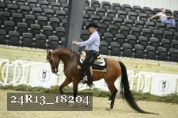 24R13_18204 thumbnail