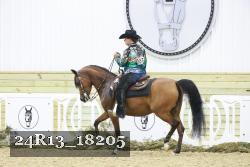 24R13_18205 thumbnail