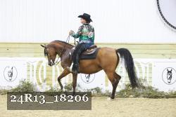 24R13_18206 thumbnail