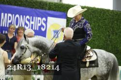 24R13_18214 thumbnail
