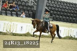 24R13_18225 thumbnail