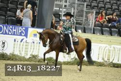 24R13_18227 thumbnail