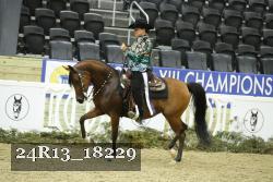 24R13_18229 thumbnail