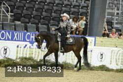 24R13_18233 thumbnail
