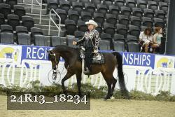 24R13_18234 thumbnail