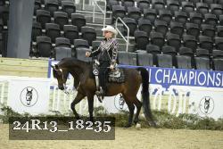24R13_18235 thumbnail