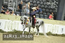 24R13_18246 thumbnail