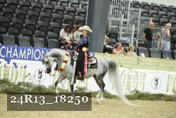 24R13_18250 thumbnail