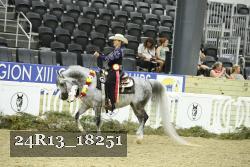 24R13_18251 thumbnail