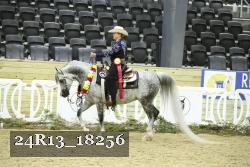 24R13_18256 thumbnail