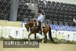 24R13_18259 thumbnail