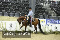 24R13_18260 thumbnail