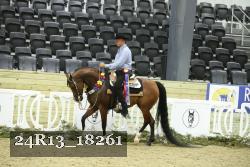 24R13_18261 thumbnail