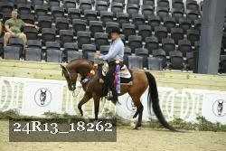 24R13_18262 thumbnail