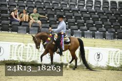24R13_18263 thumbnail