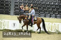 24R13_18264 thumbnail