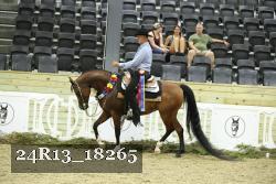 24R13_18265 thumbnail