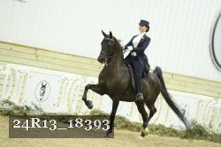 24R13_18393 thumbnail
