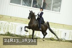 24R13_18394 thumbnail