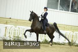 24R13_18395 thumbnail