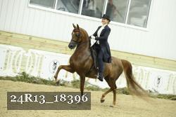 24R13_18396 thumbnail