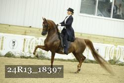 24R13_18397 thumbnail