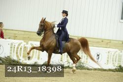 24R13_18398 thumbnail